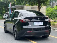 Tesla Model Y Rear-Wheel Drive - ფოტო 7