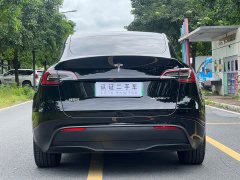 Tesla Model Y Rear-Wheel Drive - ფოტო 8