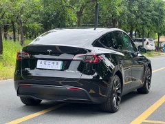 Tesla Model Y Rear-Wheel Drive - ფოტო 9