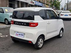 BMW Hongguang MINIEV Macaron Fashion Edition LFP Battery - ფოტო 4