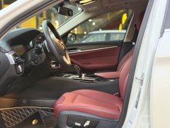 BMW 5 Series 530Li Premier Luxury Package - ფოტო 13