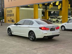 BMW 5 Series 530Li Premier Luxury Package - ფოტო 14