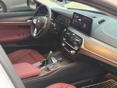 BMW 5 Series 530Li Premier Luxury Package - ფოტო 8