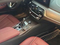 BMW 5 Series 530Li Premier Luxury Package - ფოტო 9