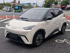 BYD Seagull Glory Edition 305km Freedom Version - ფოტო 1