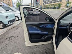 BYD Seagull Glory Edition 305km Freedom Version - ფოტო 13
