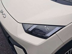 BYD Seagull Glory Edition 305km Freedom Version - ფოტო 15