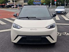BYD Seagull Glory Edition 305km Freedom Version - ფოტო 2