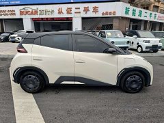BYD Seagull Glory Edition 305km Freedom Version - ფოტო 3