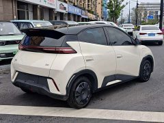 BYD Seagull Glory Edition 305km Freedom Version - ფოტო 4