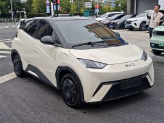 BYD Seagull Glory Edition 305km Freedom Version - ფოტო 6