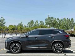 Chery Chitu Lingyun 2023 400T Two-Wheel Drive Star Premium Edition - ფოტო 4