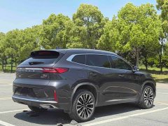 Chery Chitu Lingyun 2023 400T Two-Wheel Drive Star Premium Edition - ფოტო 7