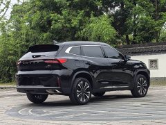 Chery Changan Startuning Lingyun 300T Two-Wheel Drive Star Radiance Edition - ფოტო 4