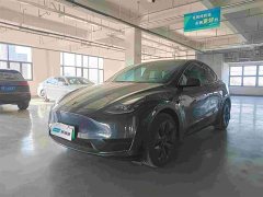 Tesla Model Y Rear-Wheel Drive - ფოტო 1