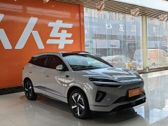 BYD Haima Lion Haima Sealion 06 DM-i 205 Pilot Plus - фото 3
