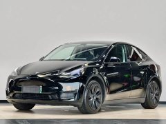 Tesla Model Y Rear-Wheel Drive - ფოტო 1