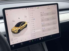Tesla Model Y Rear-Wheel Drive - ფოტო 11