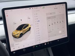 Tesla Model Y Rear-Wheel Drive - ფოტო 12