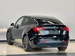 Tesla Model Y Rear-Wheel Drive - ფოტო 6