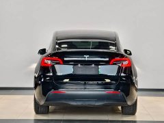 Tesla Model Y Rear-Wheel Drive - ფოტო 7