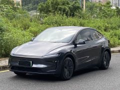 Tesla Model Y Rear-Wheel Drive - ფოტო 1