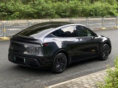 Tesla Model Y Rear-Wheel Drive - ფოტო 4
