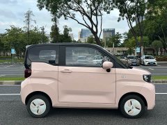 Chery QQ Ice Cream 170km Sundae LFP - ფოტო 15