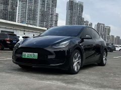 Tesla Model Y Rear-Wheel Drive - ფოტო 1