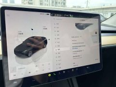 Tesla Model Y Rear-Wheel Drive - ფოტო 10