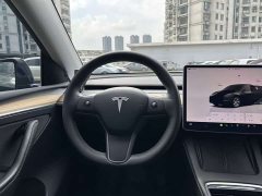 Tesla Model Y Rear-Wheel Drive - ფოტო 15