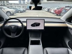 Tesla Model Y Rear-Wheel Drive - ფოტო 5