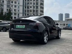 Tesla Model Y Rear-Wheel Drive - ფოტო 8