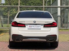 BMW 5 Series Facelift 530Li Luxury M Sport Package - ფოტო 6