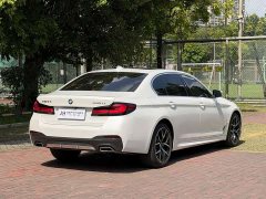BMW 5 Series Facelift 530Li Luxury M Sport Package - ფოტო 7