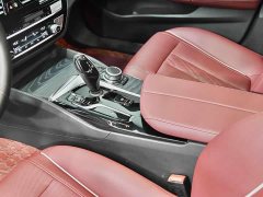 BMW 5 Series Facelift 530Li xDrive M Sport Package - ფოტო 13