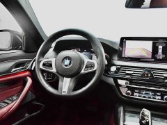 BMW 5 Series Facelift 530Li xDrive M Sport Package - ფოტო 18
