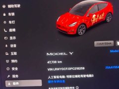 Tesla Model Y Rear-Wheel Drive - ფოტო 8