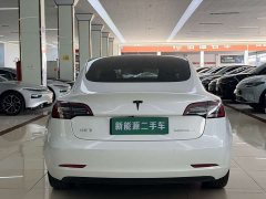 Tesla Model 3 Standard Range RWD Upgrade 3D6 - ფოტო 14