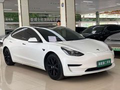 Tesla Model 3 Standard Range RWD Upgrade 3D6 - ფოტო 3