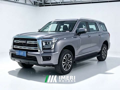2024 Haval H5 2023 2.0T Automatic Four-Wheel Drive Elite Gasoline - ავტომობილი ჩინეთიდან
