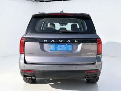 Haval H5 2023 2.0T Automatic Four-Wheel Drive Elite Gasoline - ფოტო 7