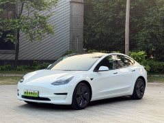 Tesla Model 3 2021 Standard Range RWD Upgrade 3D6 - ფოტო 1