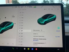 Tesla Model 3 2021 Standard Range RWD Upgrade 3D6 - ფოტო 16