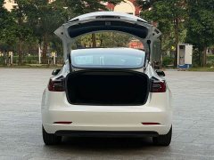 Tesla Model 3 2021 Standard Range RWD Upgrade 3D6 - ფოტო 17