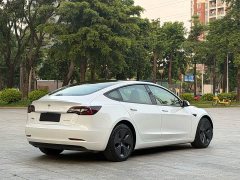 Tesla Model 3 2021 Standard Range RWD Upgrade 3D6 - ფოტო 18