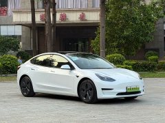 Tesla Model 3 2021 Standard Range RWD Upgrade 3D6 - ფოტო 2