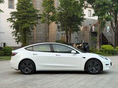 Tesla Model 3 2021 Standard Range RWD Upgrade 3D6 - ფოტო 5