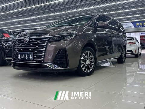 2022 Buick GL8 2023 Land Executive Cabin 652T Luxury - ავტომობილი ჩინეთიდან