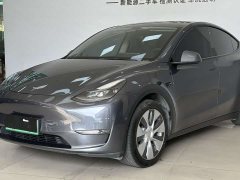 Tesla Model Y Standard Range RWD - ფოტო 1